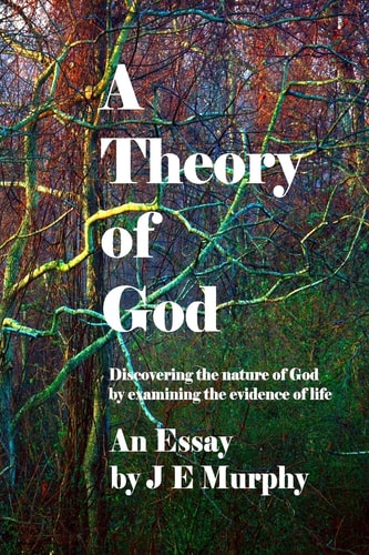 A Theory of God Discovering the Nature of God by Examining the Evidence of Life