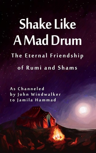 Shake Like A Mad Drum The Eternal Friendship Of Rumi And Shams