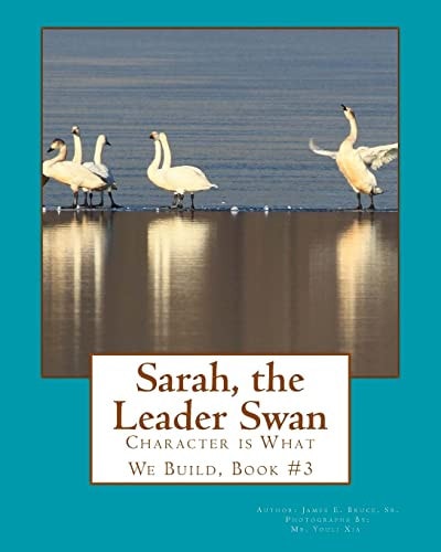 Sarah, the Leader Swan Character Is What We Build, Book #3