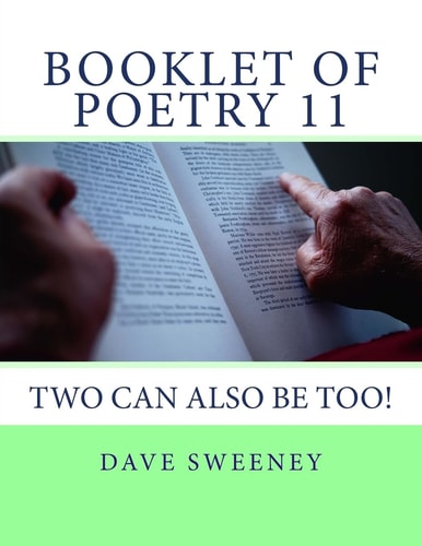 Booklet of Poetry 11 More Poems From Dave