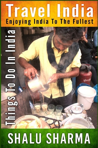 Travel India Enjoying India to the Fullest: Things to Do in India