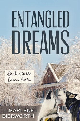 Entangled Dreams In the Dream Series