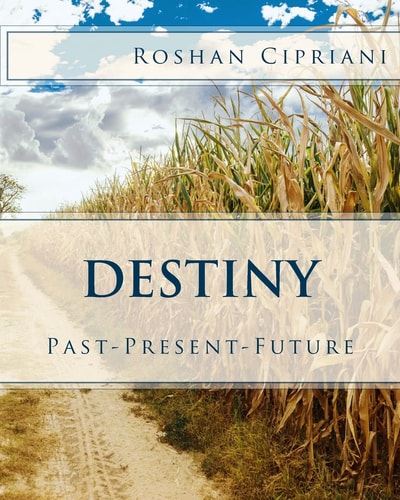 Destiny Past-Present-Future
