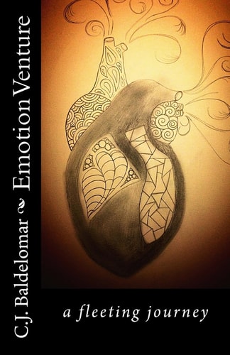Emotion Venture A Fleeting Journey