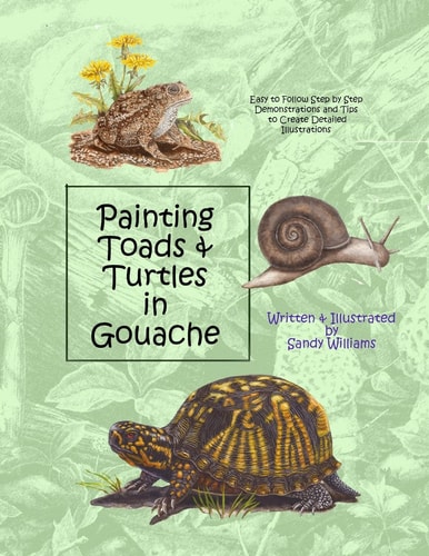 Painting Toads and Turtles in Gouache