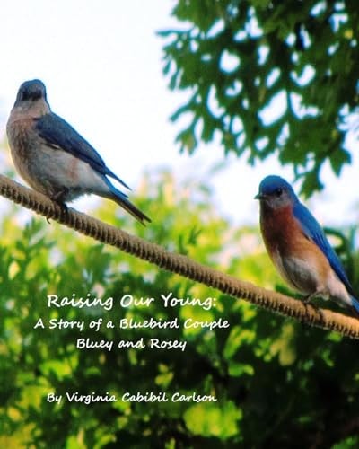 Raising Our Young A Story of a Bluebird Couple Bluey and Rosey