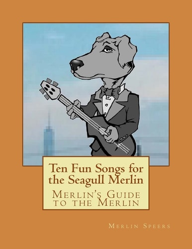 Merlin's Guide to the Merlin - 10 Fun Songs for the Seagull Merlin The First Seagull Merlin Songbook on Amazon