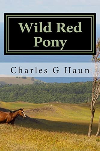 Wild Red Pony For Young Readers