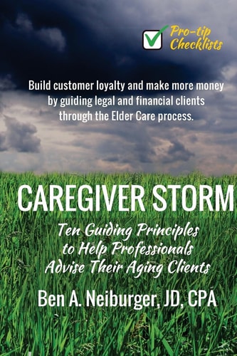 Caregiver Storm How to Make Money While Building Customer Loyalty by Helping Clients in Crisis