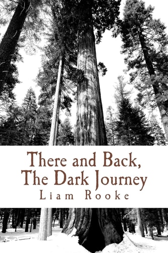 There and Back, The Dark Journey The Way Back From Anxiety, Depression and Pure 'O'