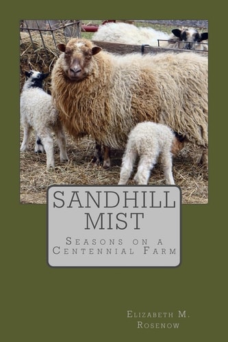 Sandhill Mist Seasons on a Centennial Farm