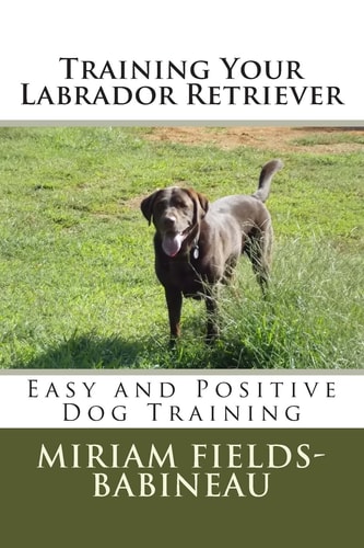 Training Your Labrador Retriever Easy and Positive Dog Training