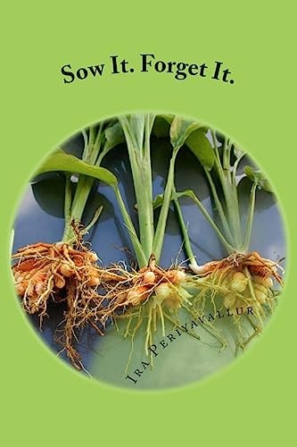 Sow It. Forget It. A Layman's Guide to Planting: Curcuma Longa (Volume 1)