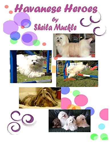Havanese Heroes The Adventures of Five Little Dogs
