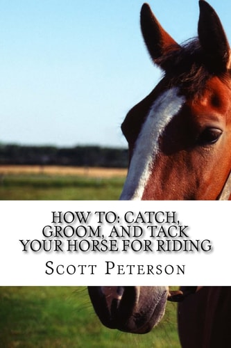 How To Catch, Groom, and Tack Your Horse for Riding