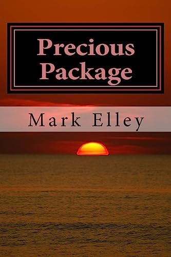 Precious Package A John Doyle Mystery