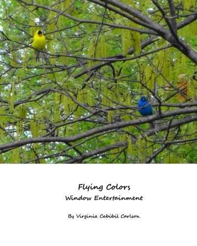 Flying Colors Window Entertainment