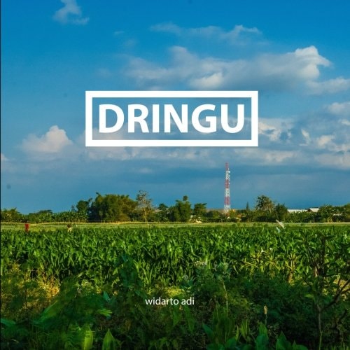 Dringu, an Homage