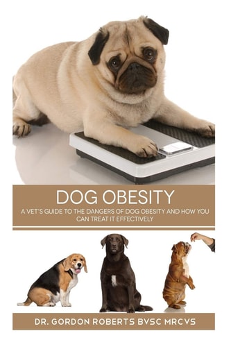 Dog Obesity A Vet's Guide to the Dangers of Dog Obesity and How You Can Treat It Effectvely