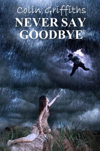 Never Say Goodbye