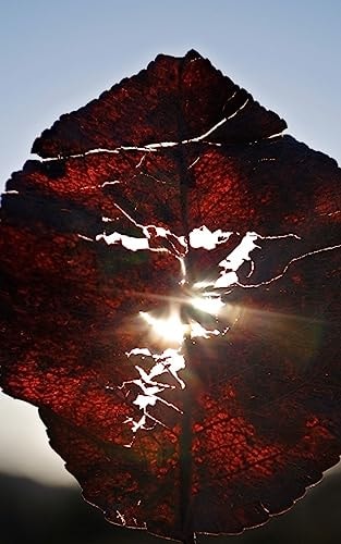 "7" A Simple Guide Book for Increasing Basic Self-Wisdom, Self-Relationships and Self Love