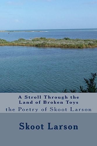 A Stroll Through the Land of Broken Toys The Poetry of Skoot Larson