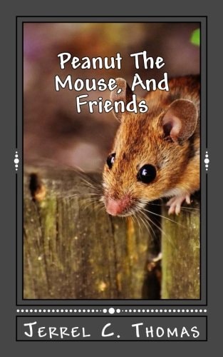 Peanut The Mouse, And Friends The Adventures Of A Dream