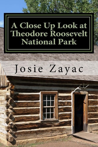 A Close Up Look at Theodore Roosevelt National Park