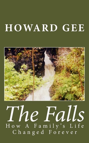 The Falls How a Family's Life Was Changed Forever