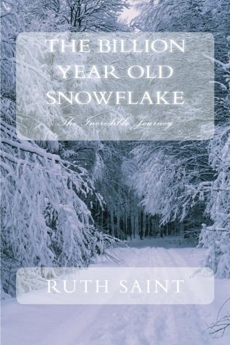 The Billion Year Old Snowflake The Incredible Journey
