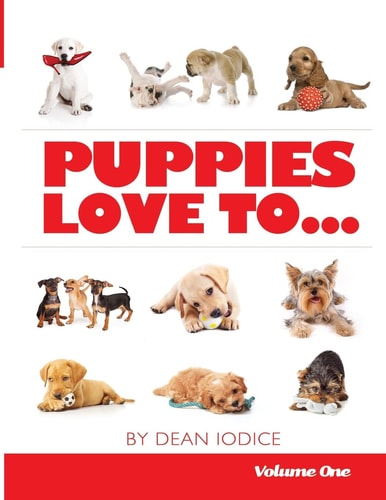 Puppies Love To...
