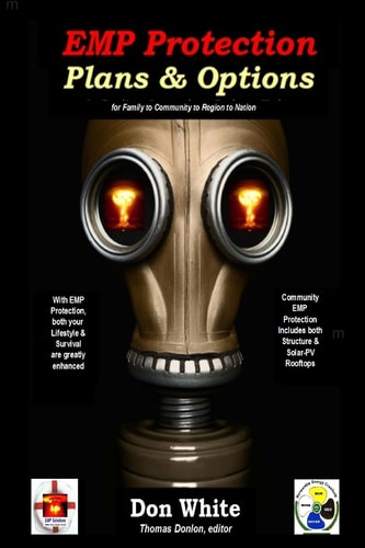 EMP Protection Plans and Options For Family, Community, Region, and National