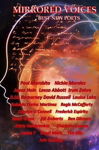 Mirrored Voices Best New Poets