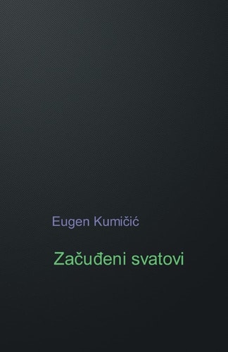 Zacudjeni Svatovi Roman
