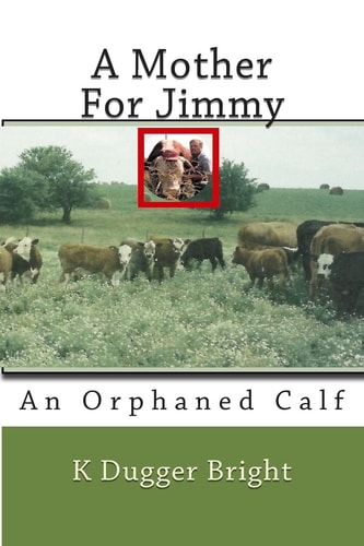 A Mother For Jimmy An Orphaned Calf