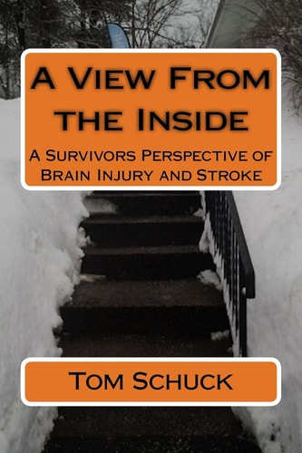 A View From the Inside A Survivors Perspective of Brain Injury and Stroke