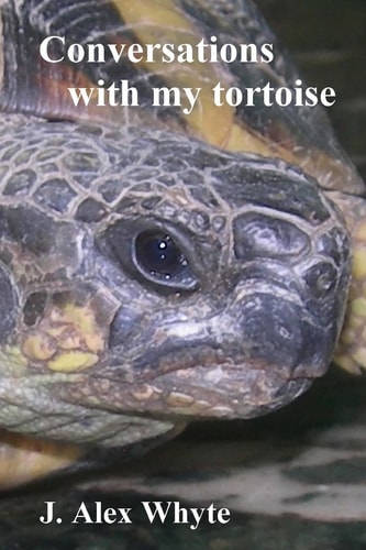 Conversations with My Tortoise A Strange Look at the Universe