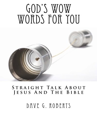 God's WOW Words For You Straight Talk about Jesus and the Bible