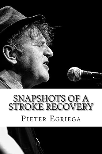 SnapShots of a Stroke Recovery Stroke Association Creative Arts Award Winner 2014