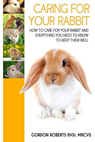 Caring For Your Rabbit How to Care for Your Rabbit and Everything You Need to Know to Keep Them Well