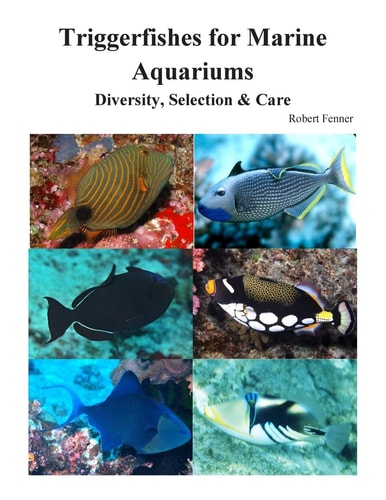 Triggerfishes for Marine Aquariums Diversity, Selection and Care