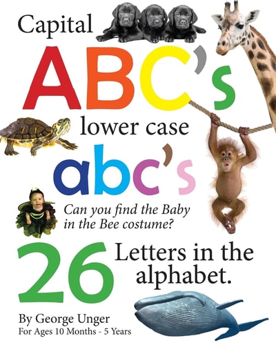 Capital ABC's Lower Case Abc's 26 Letters in the Alphabet