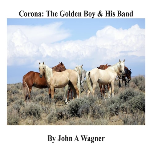 Corona The Golden Boy and His Band