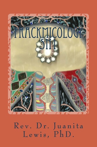 Frackmicology The Universe Is Calling You, 5N1 First Flight, and 5N1 First Adventure
