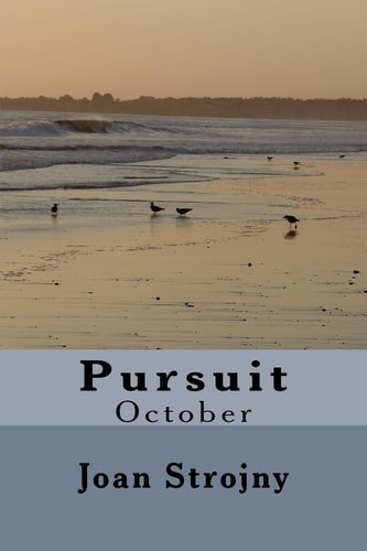 Pursuit