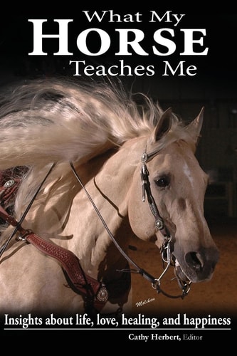 What My Horse Teaches Me Insights about Life, Love, Healing, and Happiness