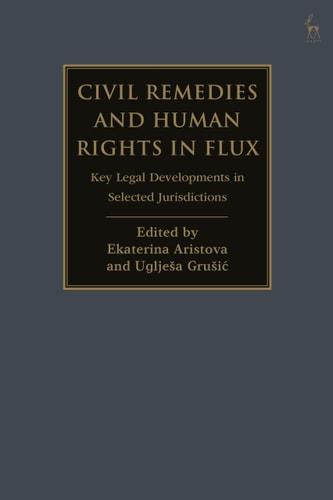 Civil Remedies and Human Rights in Flux Key Legal Developments in Selected Jurisdictions