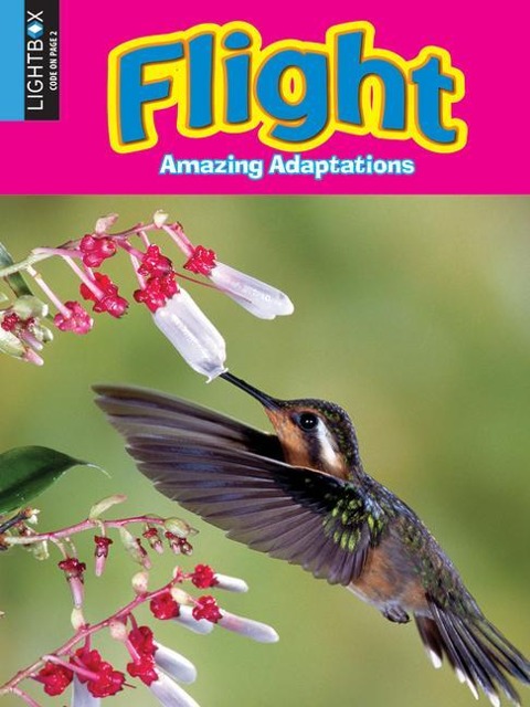 Flight