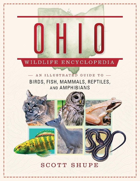 Ohio Wildlife Encyclopedia: An Illustrated Guide to Birds, Fish, Mammals, Reptiles, and Amphibians