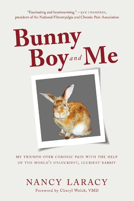 Bunny Boy and Me: My Triumph Over Chronic Pain with the Help of the World's Unluckiest, Luckiest Rabbit